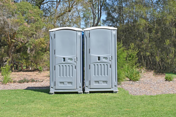 Portable Toilet Rental for Emergency Services in St Georges, DE